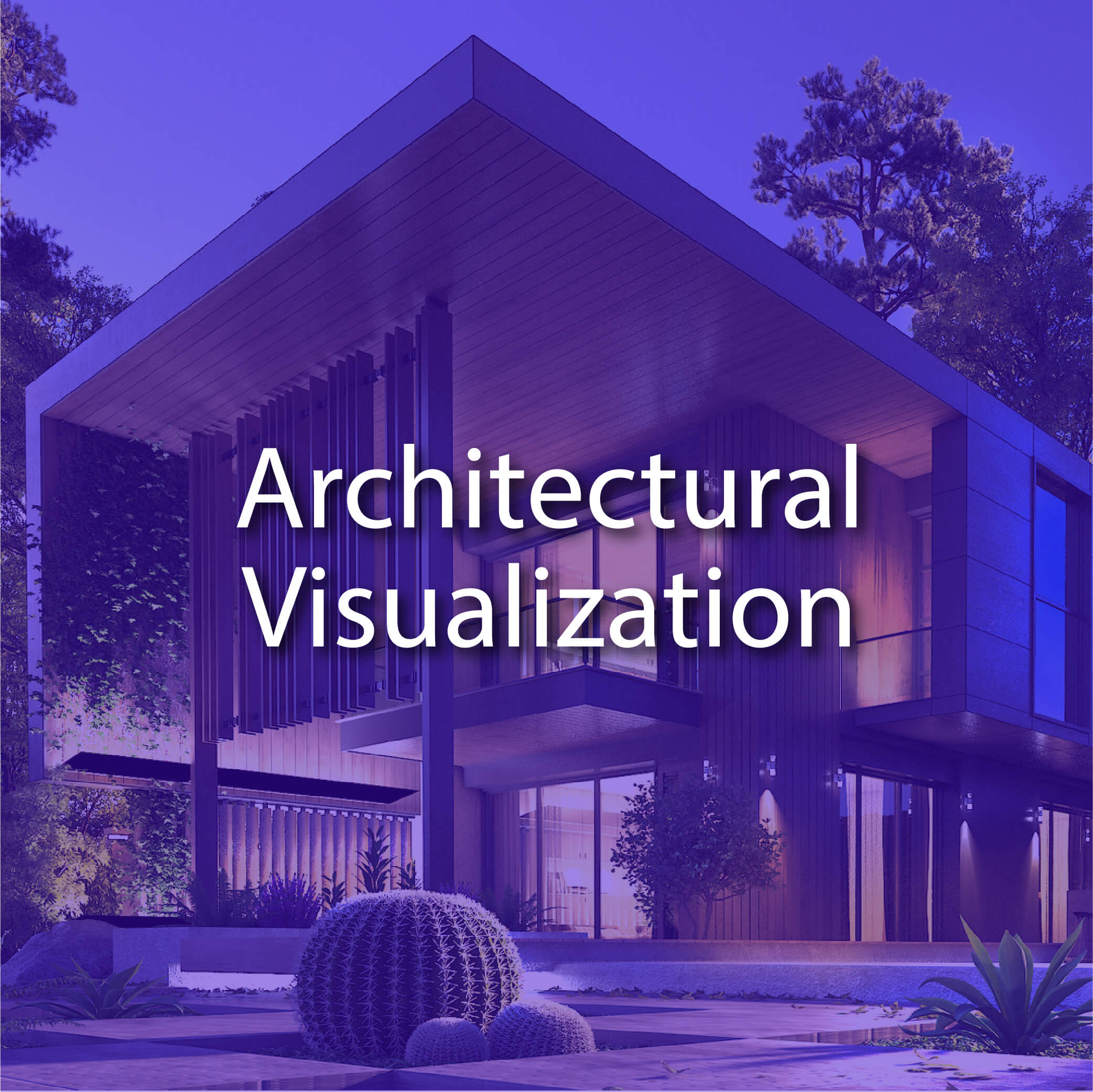 3D Architectural Visualization